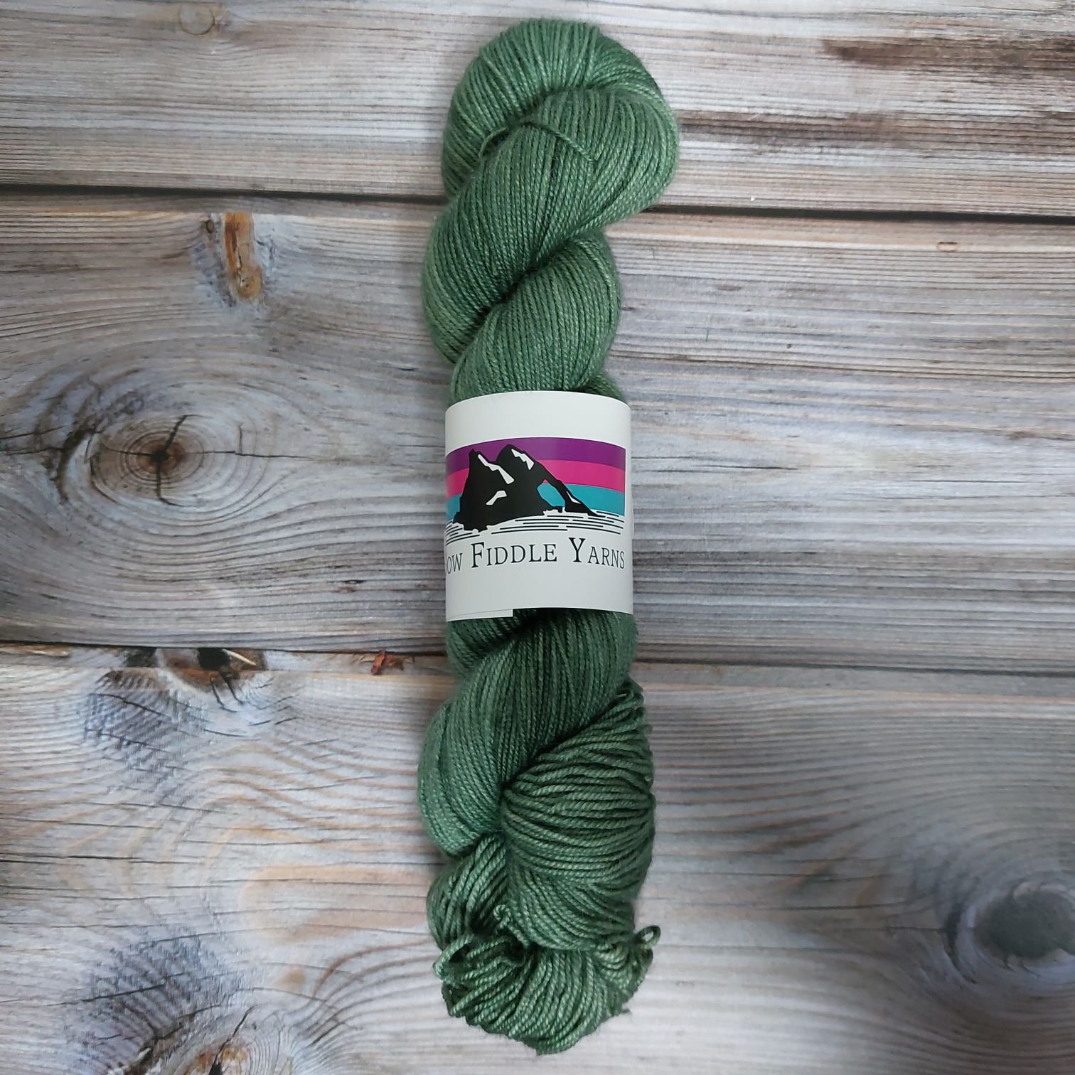 Semi Solid colours 100g Sport weight BFL Silk and nylon hand dyed yarn - Fir Real