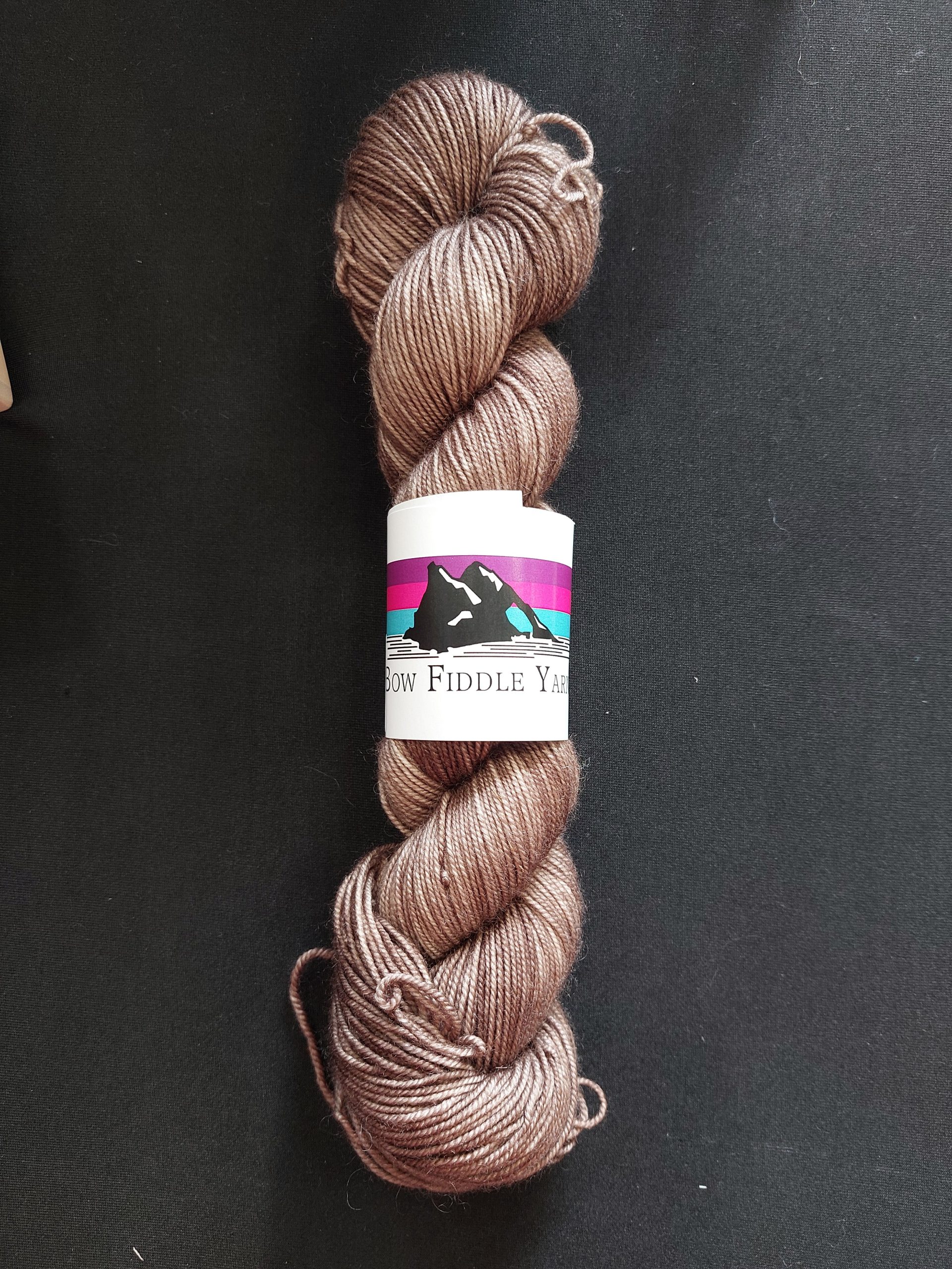 Semi Solid colours 100g Sport weight BFL Silk and nylon hand dyed yarn - Pecan't Stop Believing